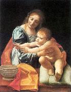 BOLTRAFFIO, Giovanni Antonio The Virgin and Child fgh oil
